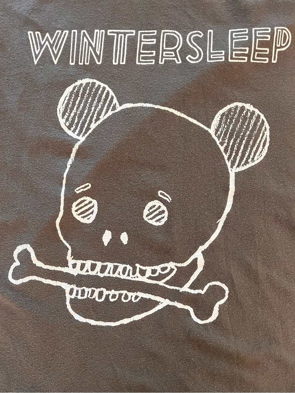 Wintersleep Gray Graphic Tee with White Skull Logo from 2016